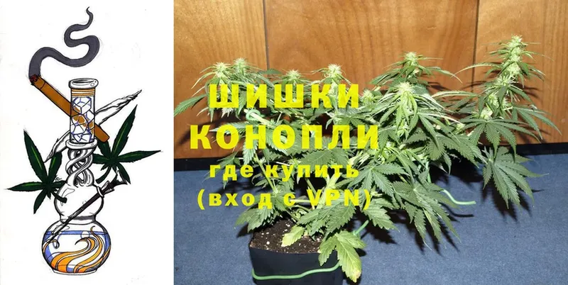 Канабис Bruce Banner  Ленинск-Кузнецкий 